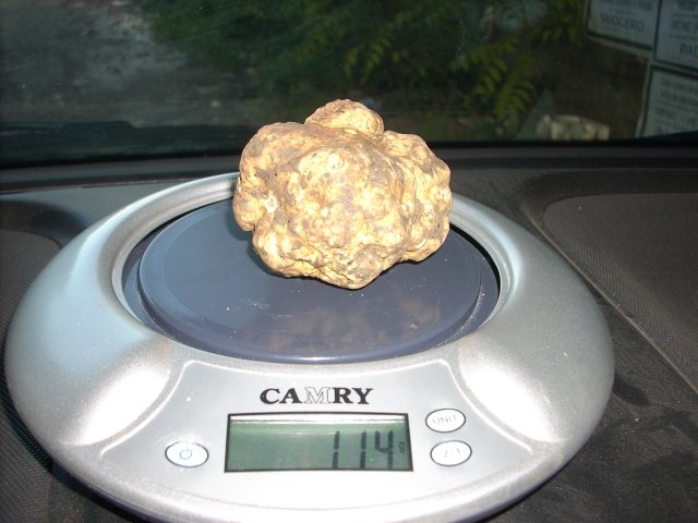 2012_11_20 6